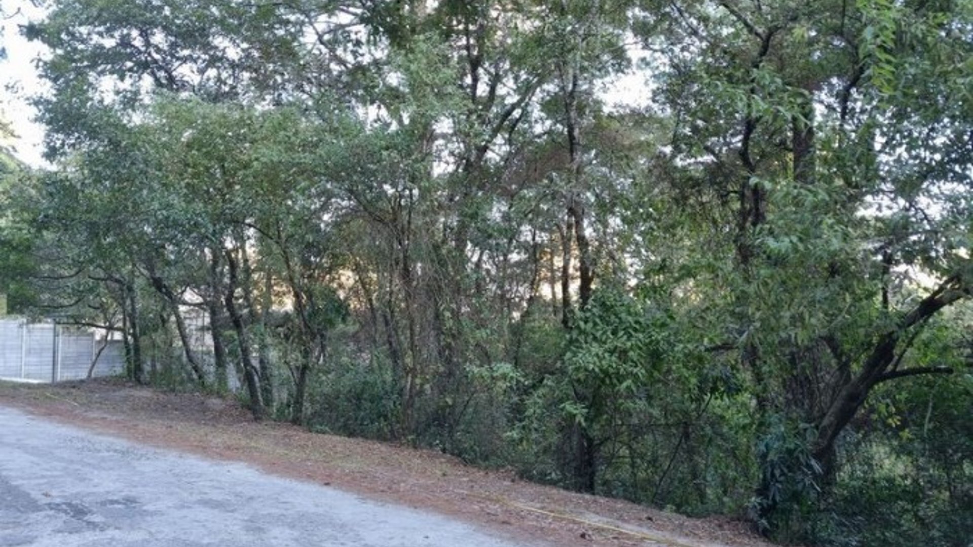 Terreno en Venta en El Encinal, Zona 7 de Mixco - Miniatura 8
