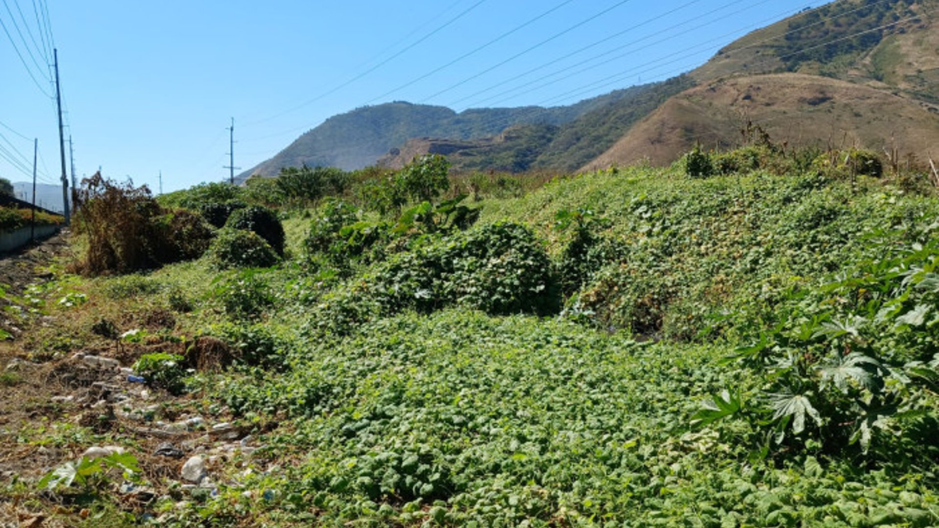 Terreno en Venta en Amatitlán - Miniatura 4