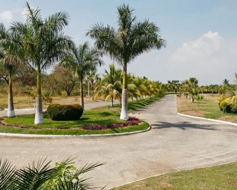 Terreno en Venta Km. 117 Carretera a Taxisco, Lagunas