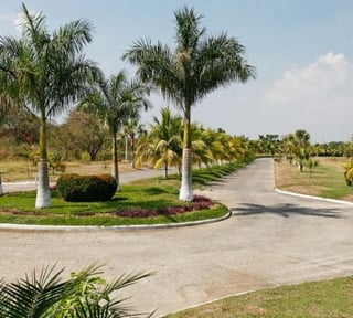 Terreno en Venta Km. 117 Carretera a Taxisco, Lagunas