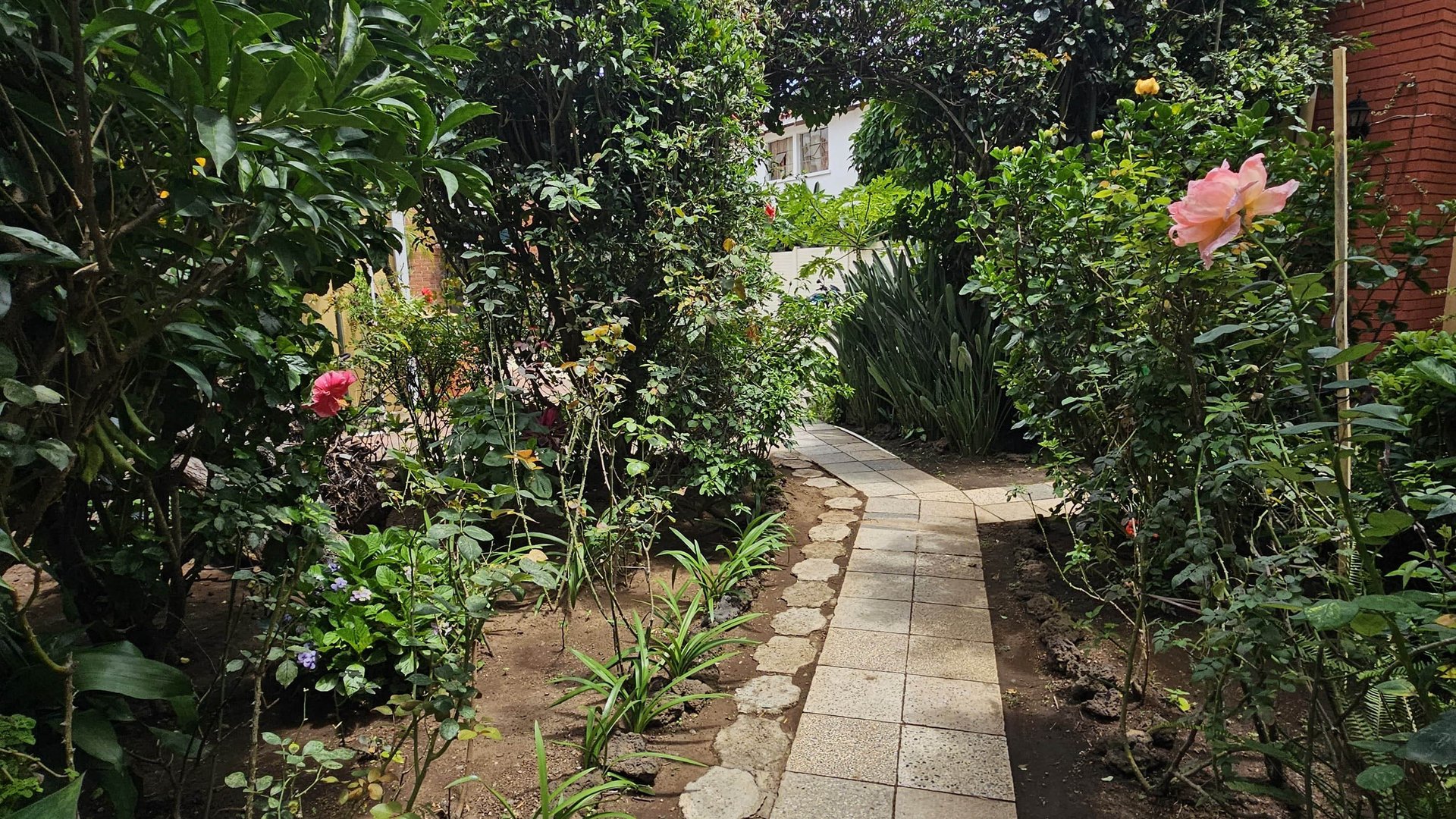 APARTAMENTO AMUEBLADO EN RENTA EN ZONA 9 - Miniatura 13