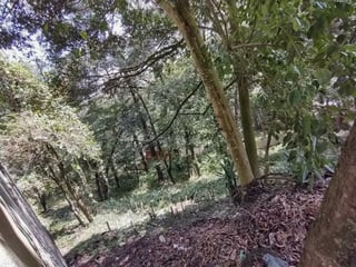 Terreno en Venta en Los Encinos1 km 26 carretera a San Lucas - 2