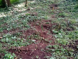 Terreno en venta en CAES  Km 22.5 - 5
