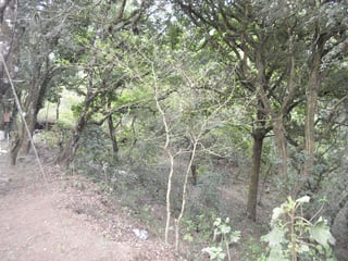 Terreno en venta, en Fraijanes - 2