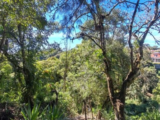 Finca en Venta de 9 manzanas en Fraijanes Guatemala - Image 15