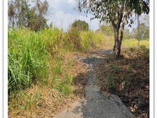 Vendo terreno residencial en Escuintla - 2