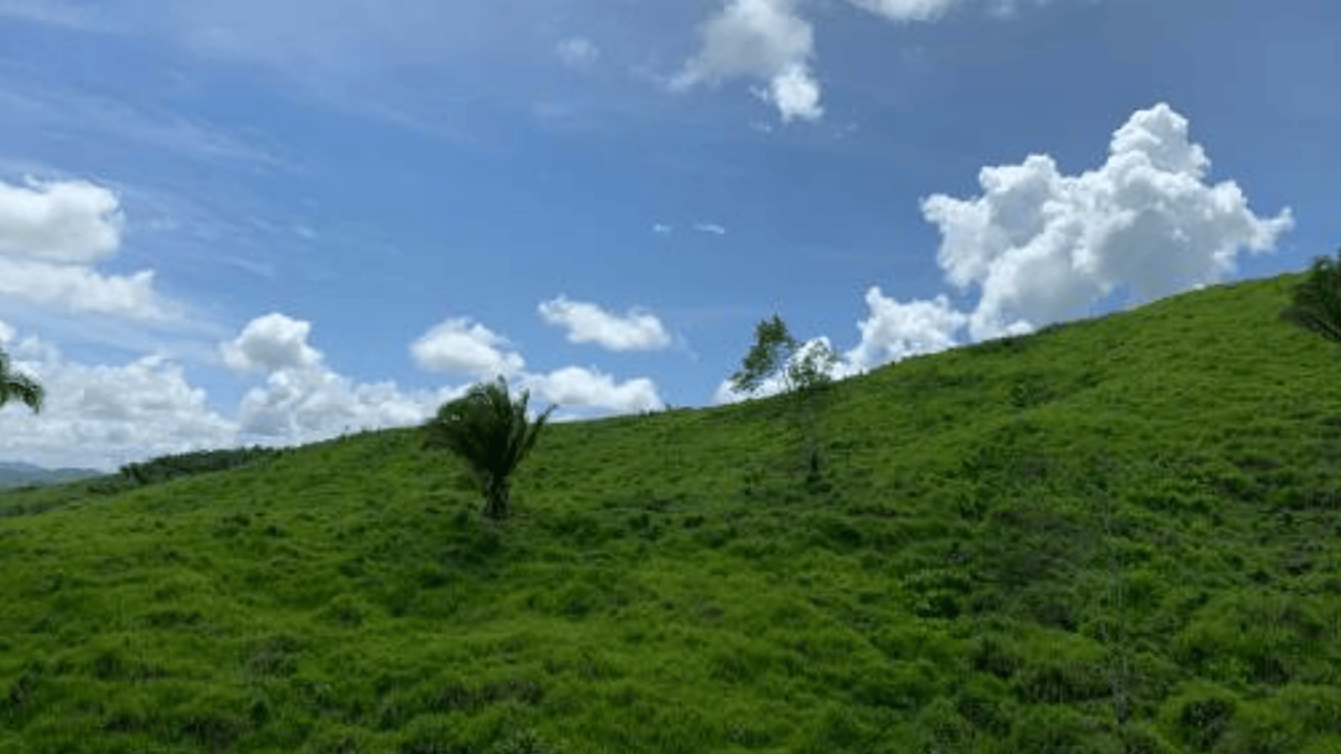 Finca en VENTA en Municipio Nuevo Chahal, Alta Verapaz - Miniatura 2