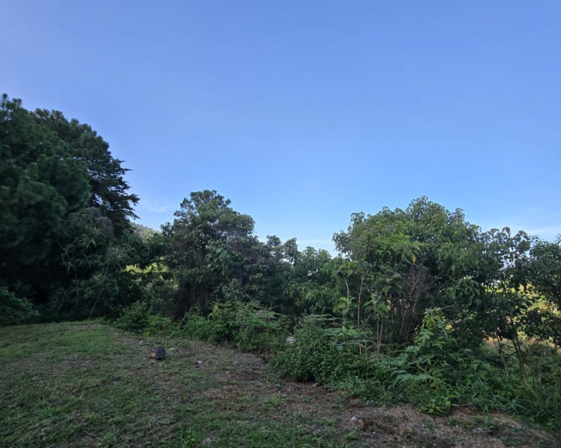 Terreno en Venta zona 16 el Pulte Guatemala