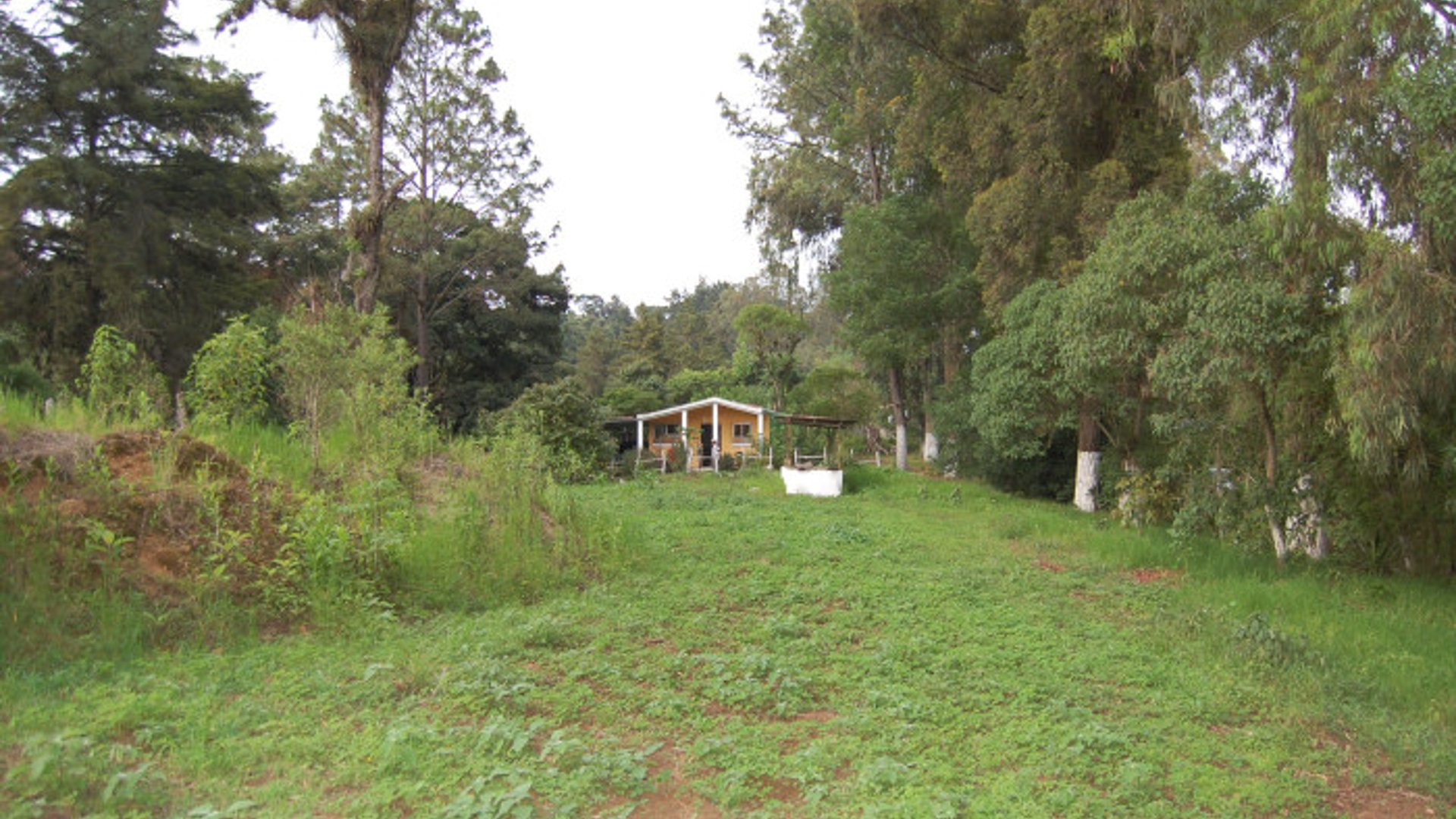 Citymax Antigua Vende Granja en Sumpango - Miniatura 17