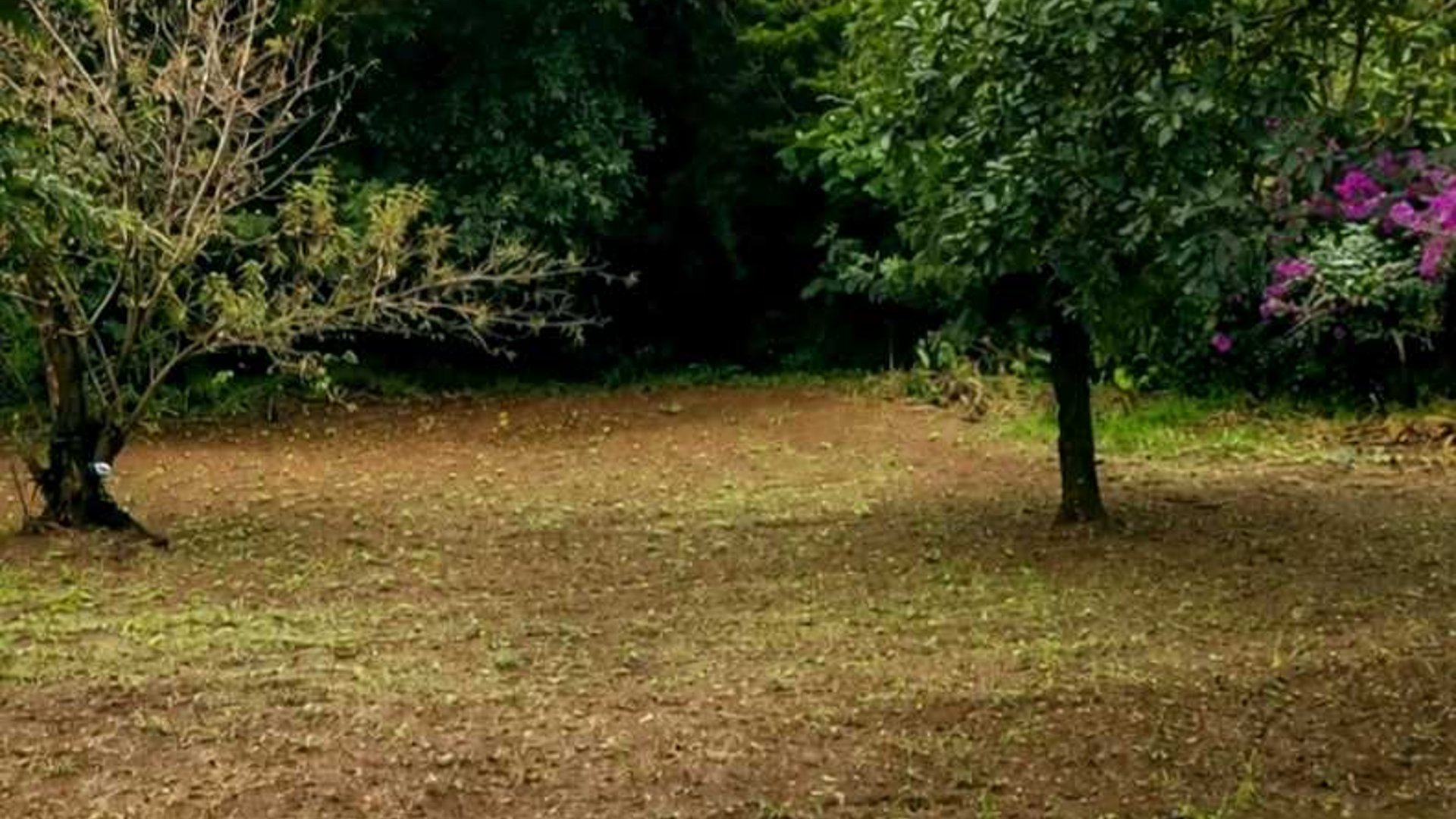 TERRENO EN VENTA ???? Santa Lucía Milpas Altas, Sacatepéquez - Miniatura 2