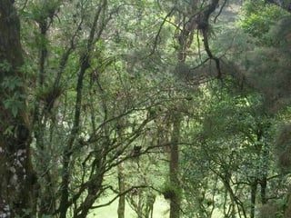 VENTA DE TERRENO EN SANTA ROSALIA LA LAGUNA - Image 7