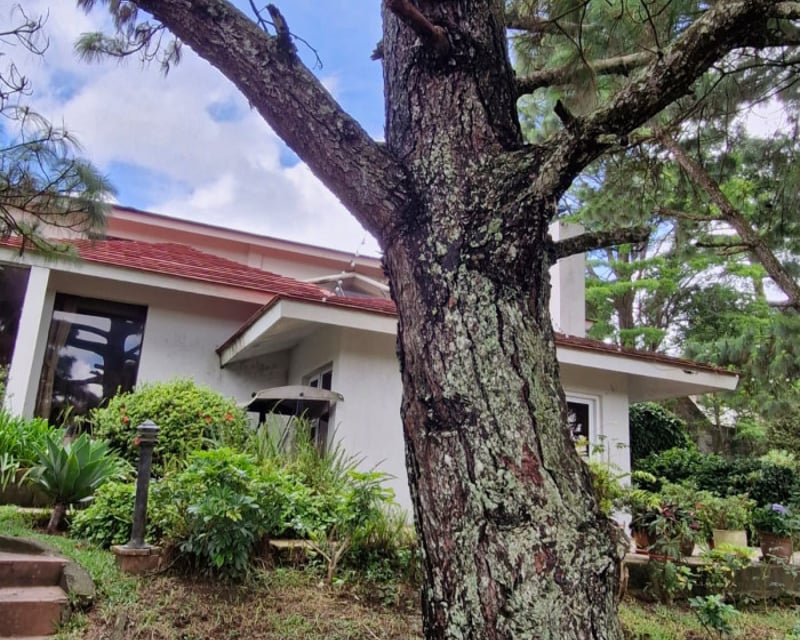Venta o Renta de Casa