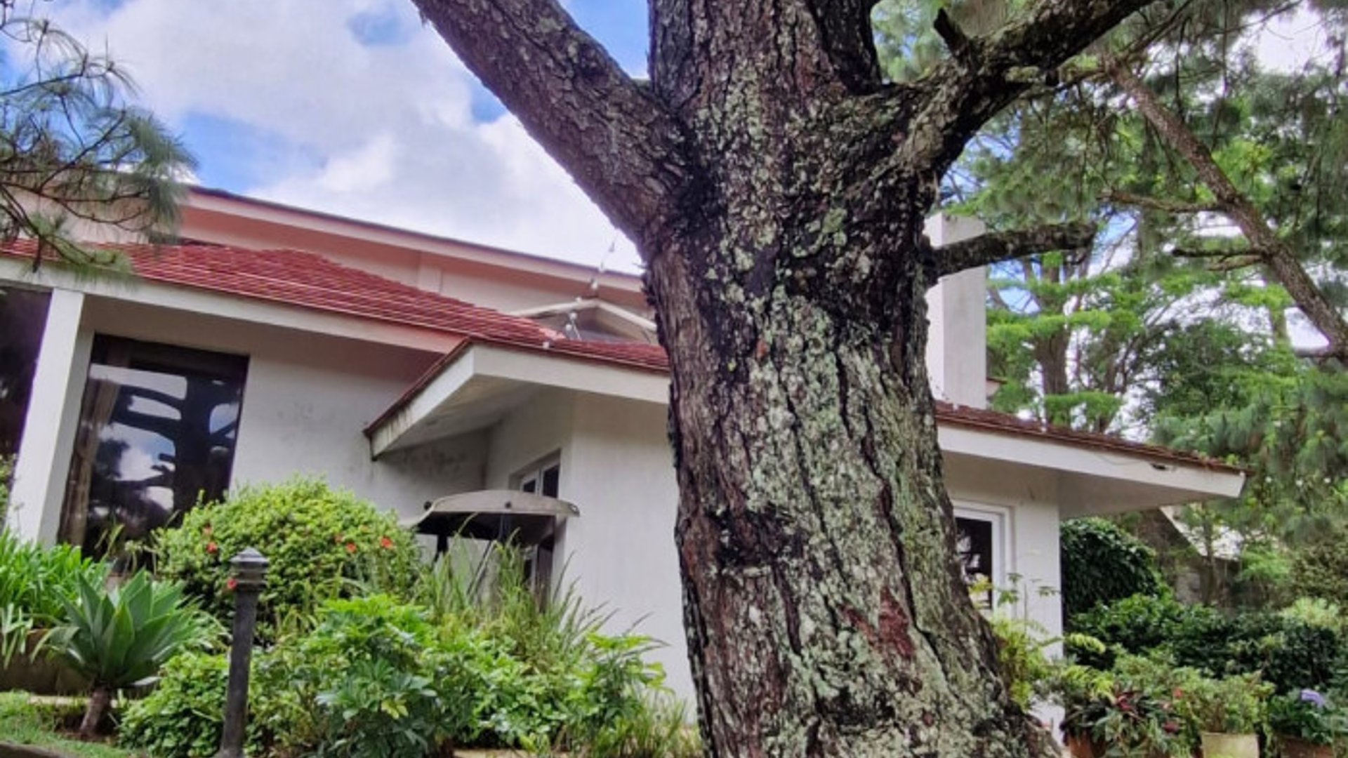 Venta o Renta de Casa