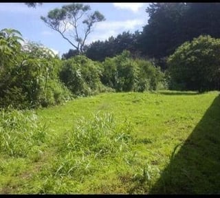 CASA Y CAMPO / Terreno en Venta, CAES
