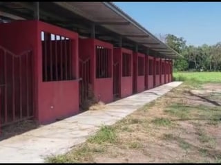 Finca en Venta en Cuyuta Masagua Escuintla - 4