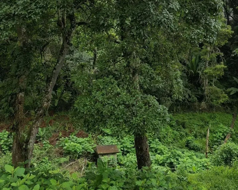 SANTA ROSALÍA / Terrenos en venta km 12.5 santa Rosalía