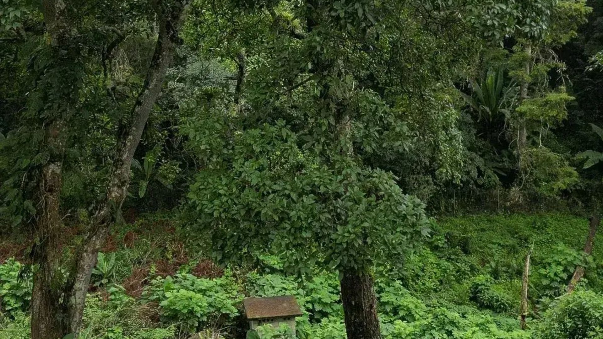 SANTA ROSALÍA / Terrenos en venta km 12.5 santa Rosalía