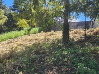 Terreno en Venta Fraijanes dentro de garita, Km 21 CES - 5