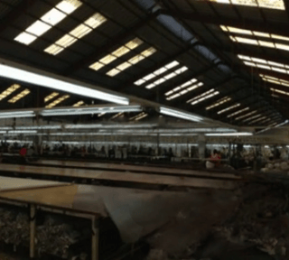 Bodega en renta zona 11