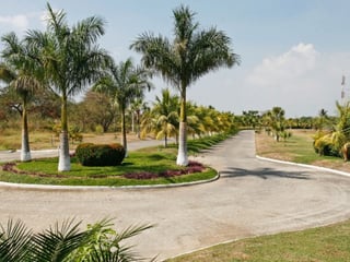 Terreno en Venta 13 x 35 metros, Lagunas de Monterrico - Image 4