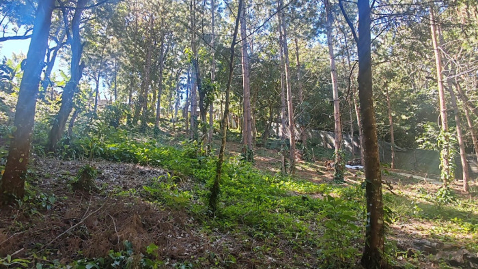 Finca en Venta de 9 manzanas en Fraijanes Guatemala