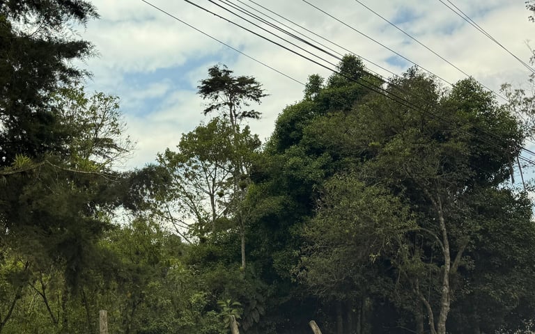 TERRENO EN VENTA, CIENEGA GRANDE