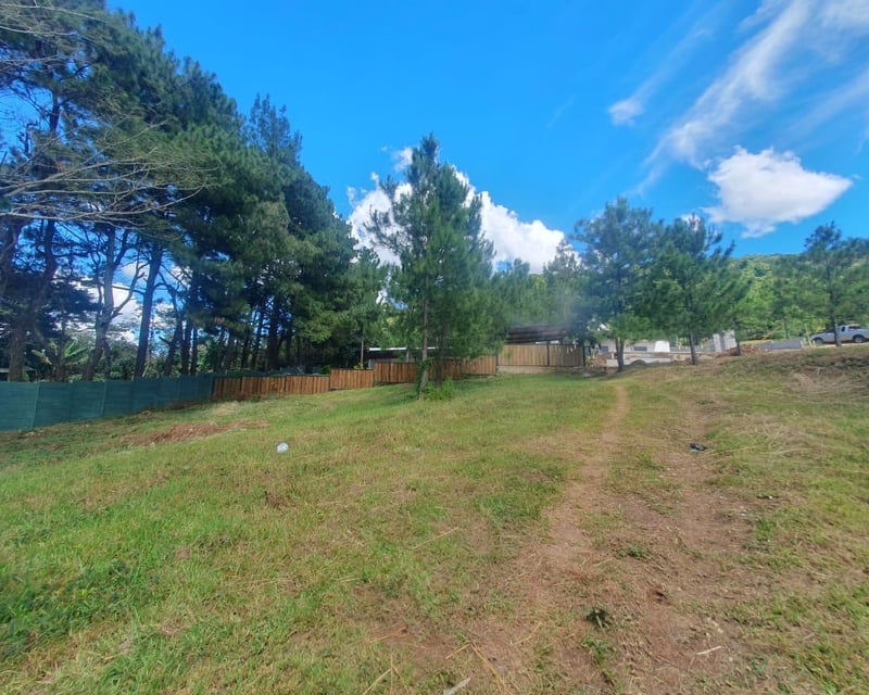 TERRENOS EN VENTA EN LAGUNA PARAISO, LAGUNA DEL PINO, BARBERENA