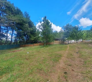 TERRENOS EN VENTA EN LAGUNA PARAISO, LAGUNA DEL PINO, BARBERENA