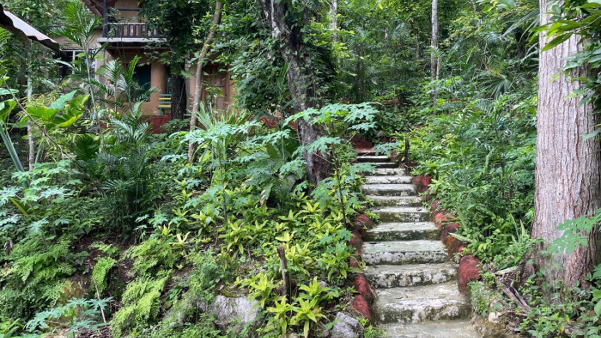 Terreno en Venta El Remate Flores Peten - Miniatura 11
