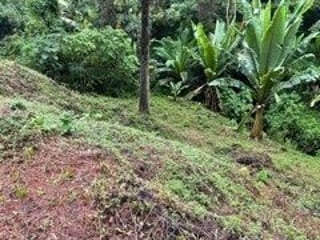 Terreno en VENTA en Muxbal, CES - Image 3