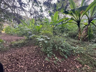 Terreno en Venta en Carretera San Lucas hacia Antigua - Image 10