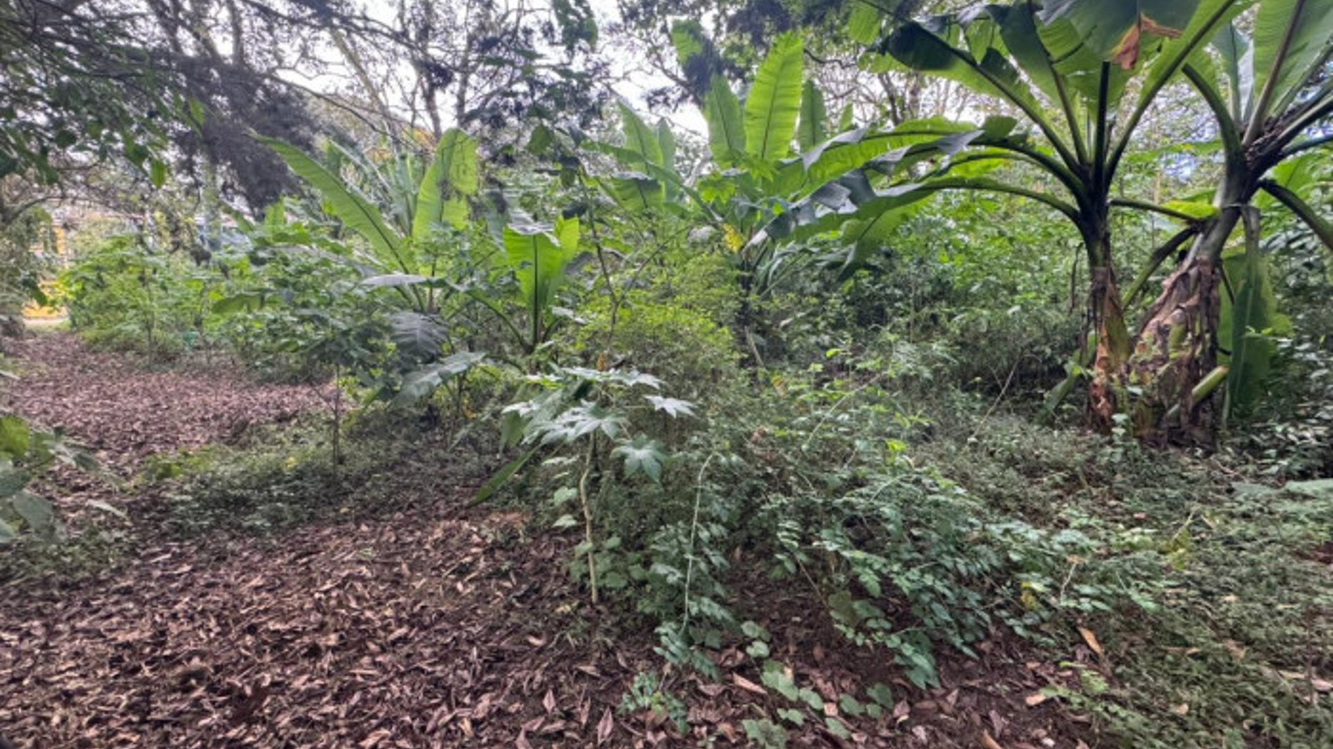 Terreno en Venta en Carretera San Lucas hacia Antigua - Miniatura 10