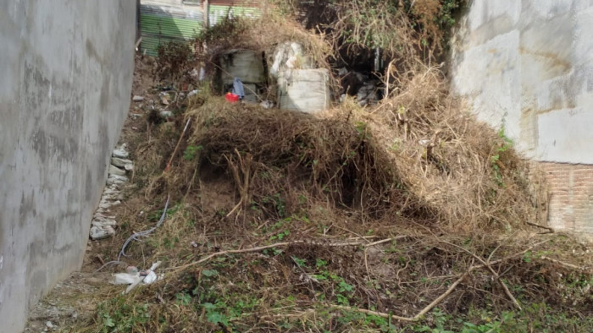 Terreno en Renta Ideal para uso Comercial en zona 2 - Miniatura 2