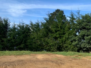 Terreno en Venta en Aldea El Hato Antigua Guatemala, Sacatepequez - 3