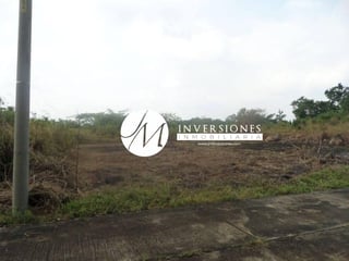 Land for Sale in Puerto San José, Guatemala - 2