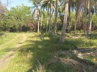 LA BARRITA, MOYUTA | FRENTE AL MAR | TERRENO EN VENTA - 4
