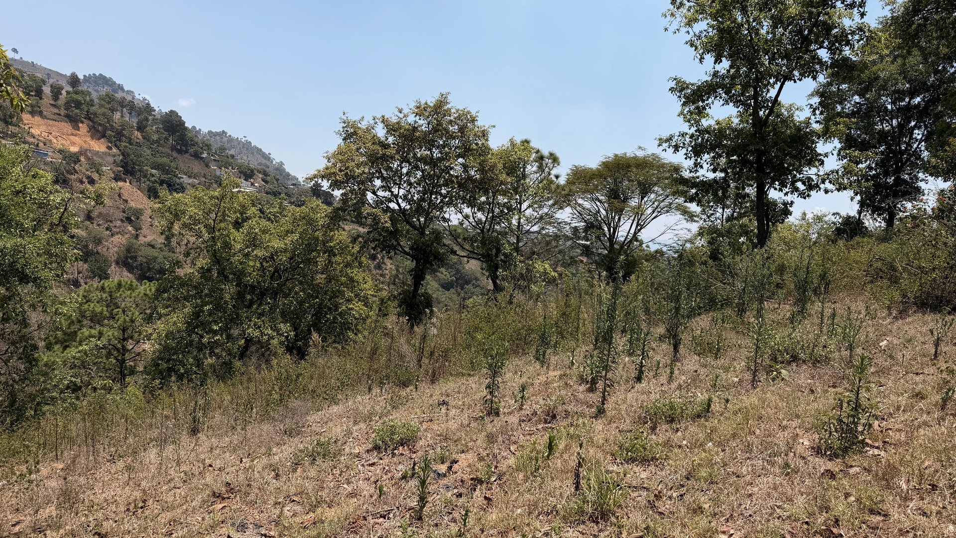 Terreno en Venta Sumpango, Sacatepéquez: 3.7 Hectáreas para su Proyecto - Miniatura 16