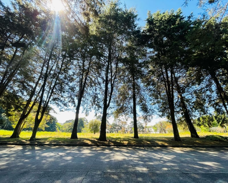 VENTA DE AMPLIO TERRENO - PREMIERE CAMPESTRE, KM 22.5 CES
