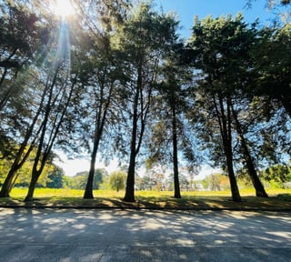 VENTA DE AMPLIO TERRENO - PREMIERE CAMPESTRE, KM 22.5 CES