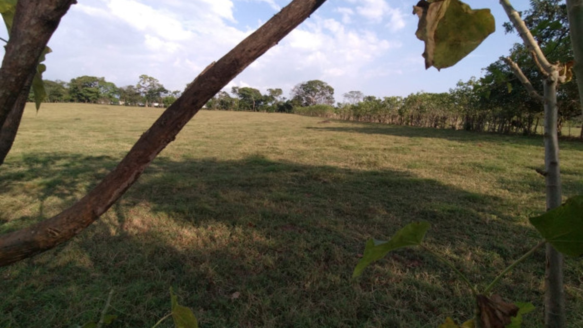 Terreno en alquiler KM 235 Aldea Las Palmas Coatepeque - Miniatura 7