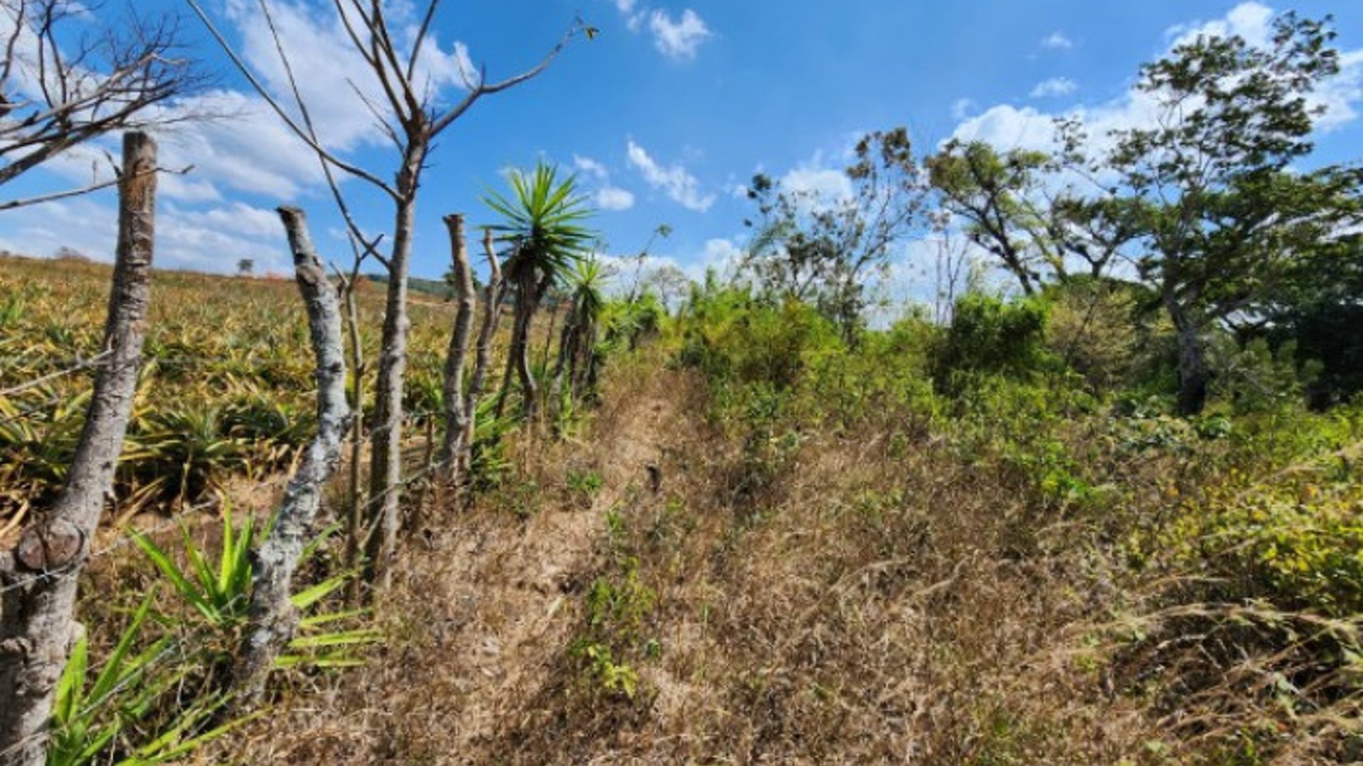 Atención Inversionistas, Terreno en Venta Guatemala - Miniatura 18