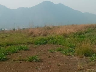 Terreno en venta, en Escuintla - 5