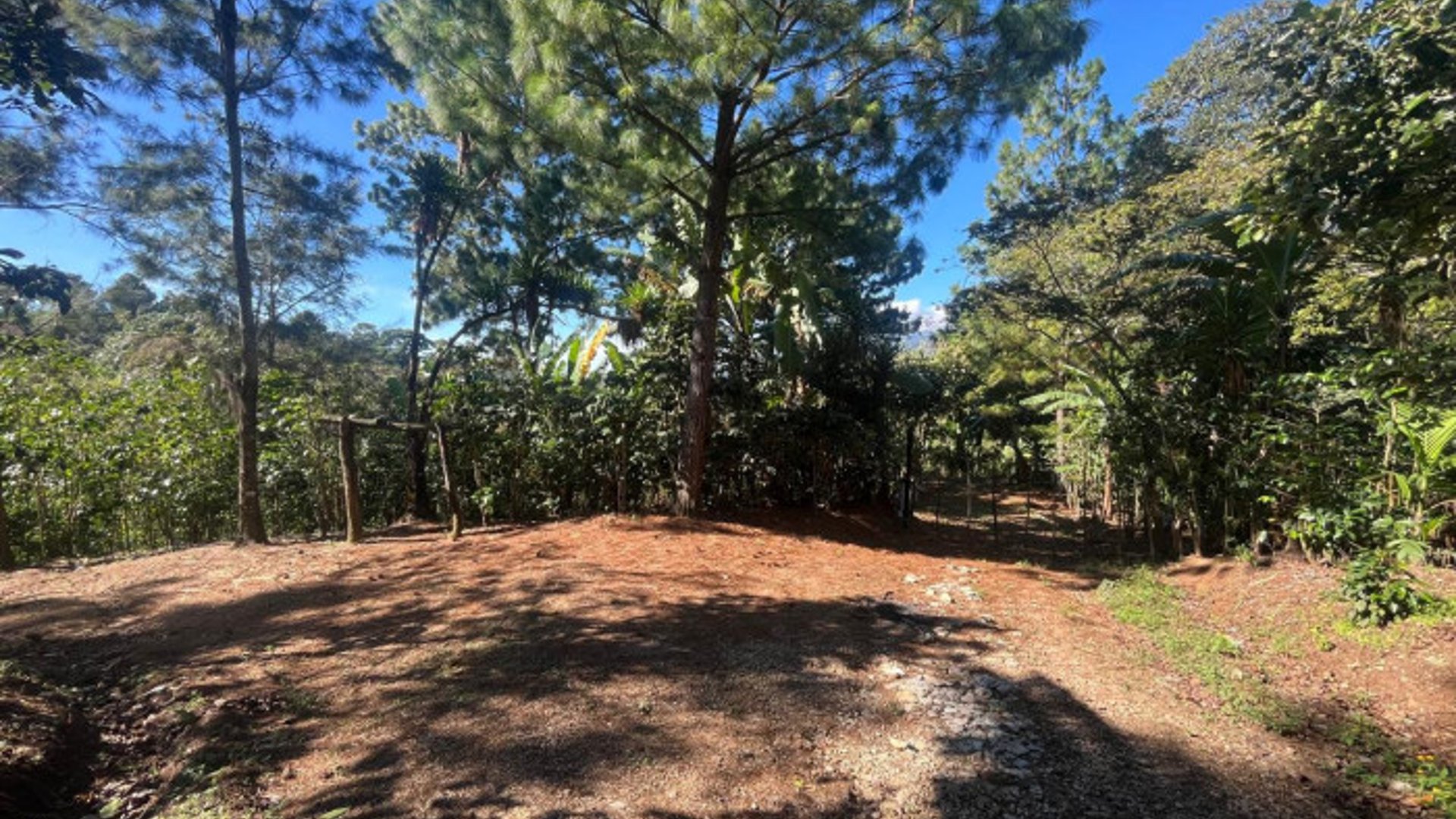 Finca en Venta en Fraijanes, Guatemala | Km 16-30 - Miniatura 6