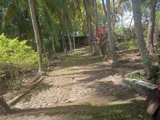 VENTA DE TERRENO EN KM 73, CARRETERA A TAXISCO - 3
