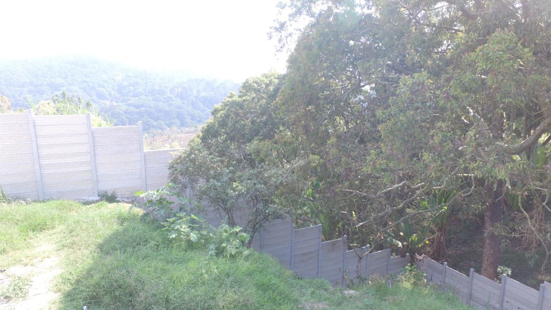 Terreno en renta zona 16 – Camino al Pulte - Miniatura 9