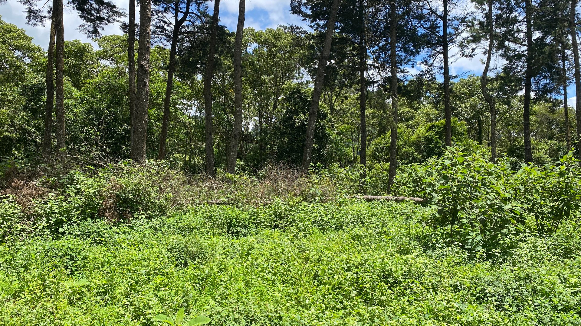 Terreno en Venta Aldea El Platanar, San José Pinula, Guatemala