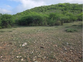 22 Manzanas en venta en El Rancho, El Progreso  - 3
