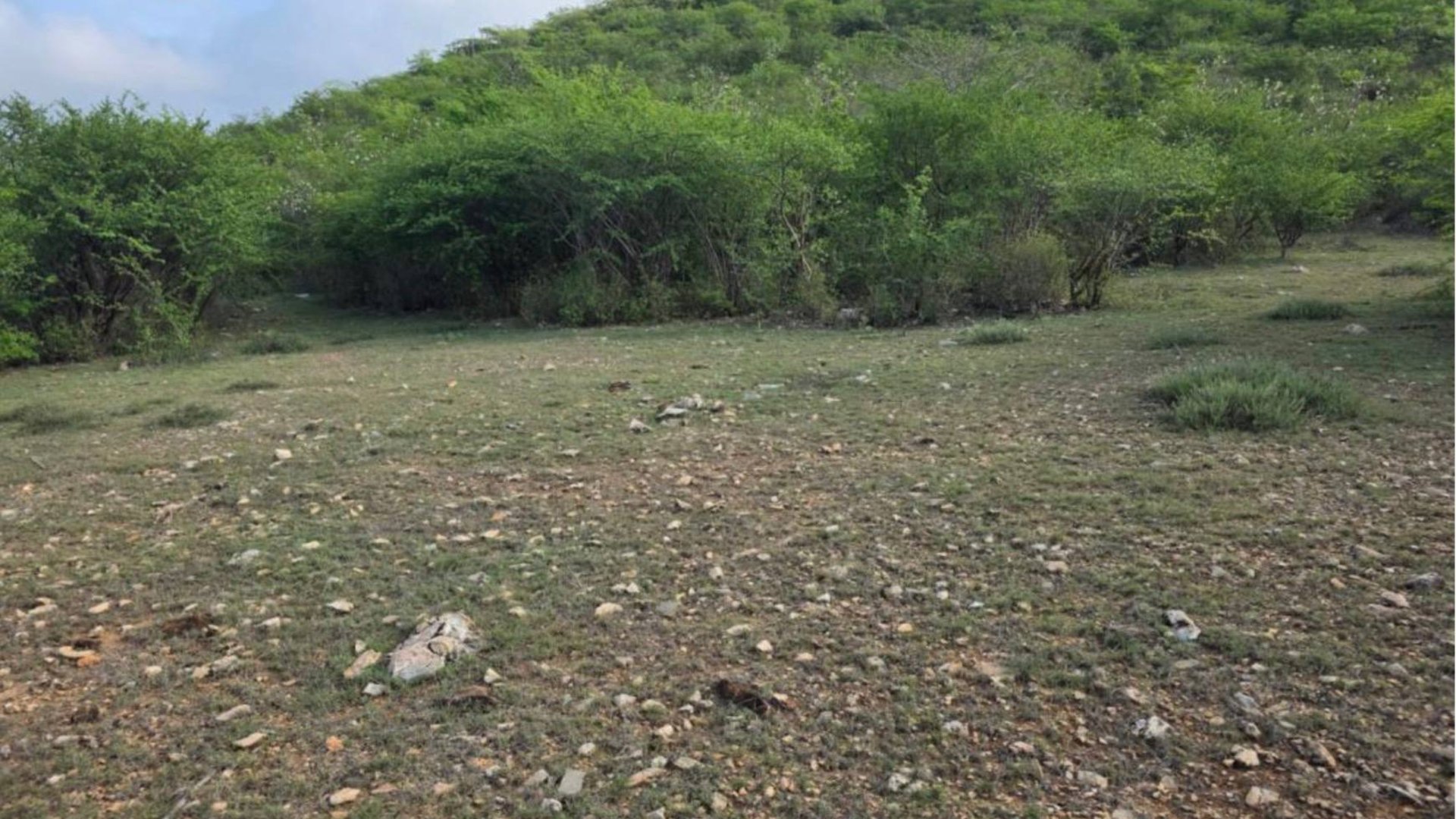 22 Manzanas en venta en El Rancho, El Progreso  - Miniatura 3