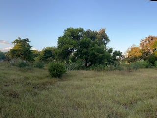 Terreno en VENTA  en Monterrico - 4
