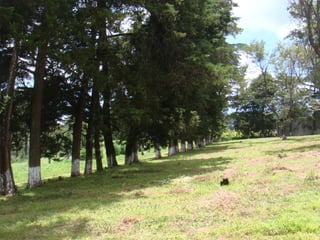 VENDO TERRENO URBANIZADO  EN KM. 30.2 CARRETERA A SANTA ELENA BARILLAS - 4